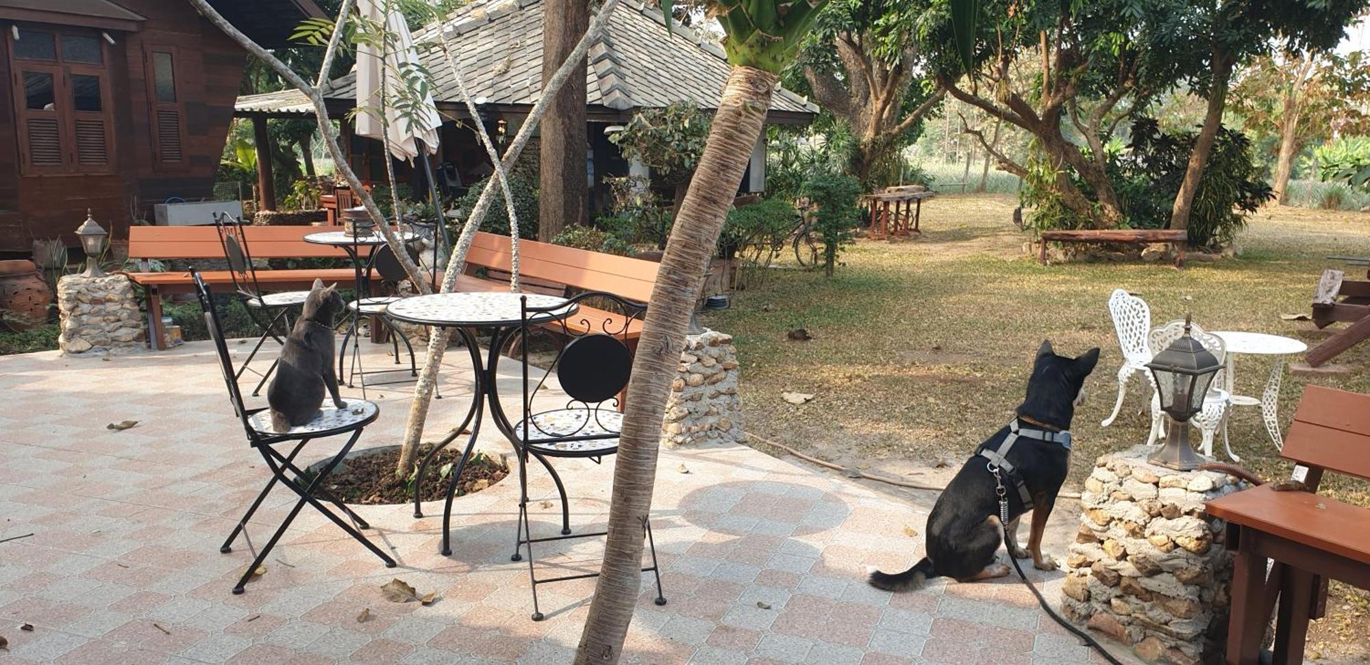 จำค่า ชาเลท์ บ้านพักสวนเกษตร Lampang Chambre photo